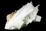 Scolecite Crystal Spray with Apophyllite and Stilbite - India #177524-2